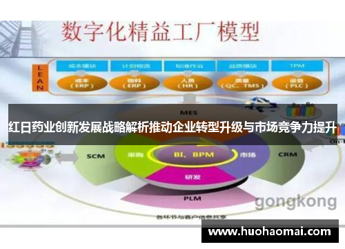 红日药业创新发展战略解析推动企业转型升级与市场竞争力提升