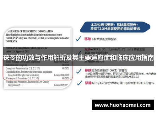 茯苓的功效与作用解析及其主要适应症和临床应用指南