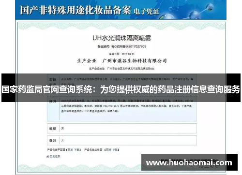 国家药监局官网查询系统：为您提供权威的药品注册信息查询服务