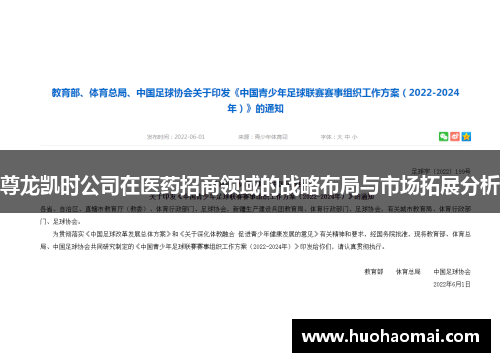 尊龙凯时公司在医药招商领域的战略布局与市场拓展分析